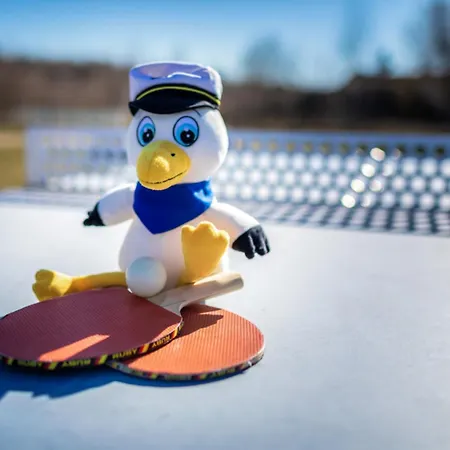 Lagovida Duenenhaus Comfort Familia A Am Stoermthaler Grosspoesna